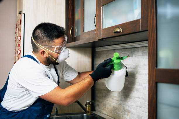 Best Flea Control Services  in Ravena, NY
