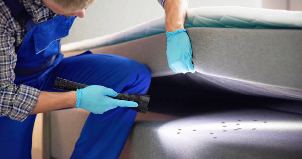 Best Commercial Pest Control Services  in Ravena, NY