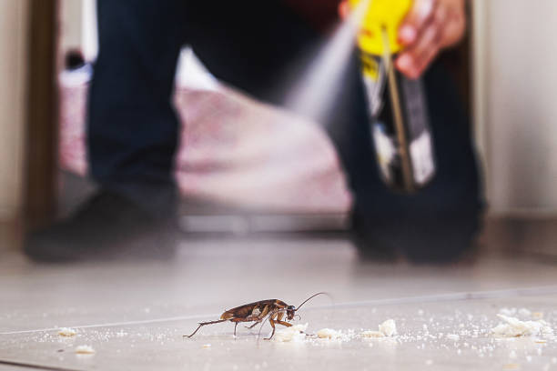 Best Pest Prevention Services  in Ravena, NY