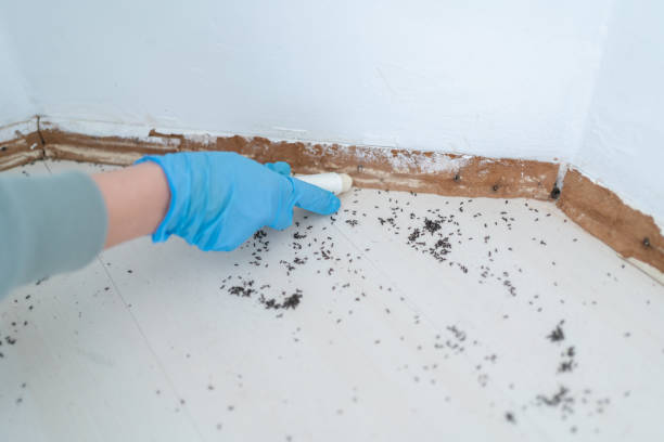 Best Pest Removal Services  in Ravena, NY